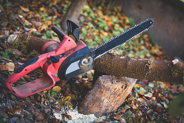 Best Commercial Tree Services  in Lacoste, TX